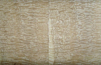 Κίτρινος ξύλινος καπλαμάς Burl τέφρας, φυσικός ξύλινος καπλαμάς 0.50 χιλ. πάχους