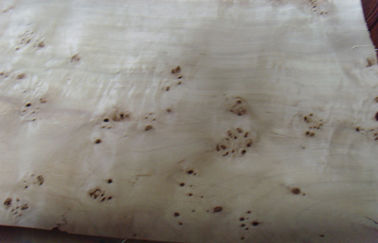 Φυσική Burl λεύκα καπλαμάδων επίπλων ξύλινη με το βαθμό AA/Α/αβ