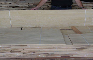 Άσπρα τέφρας φύλλα καπλαμάδων Burl ξύλινα για τις τέχνες, φυσικό ξύλο