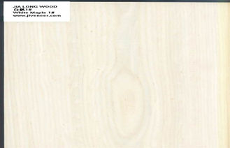 Άσπρος κατασκευασμένος σφένδαμνος ξύλινος καπλαμάς, τεμαχισμένος καπλαμάς δαπέδων περικοπών ξύλινος