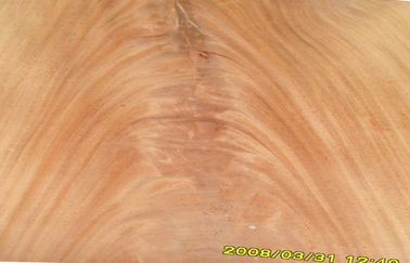 Κόκκινο δίκρανο Mohagany καπλαμάδων περικοπών κορωνών Dard, φυσικός ξύλινος καπλαμάς