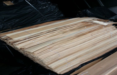 Φυσικό τεμαχισμένο αποχρωματισμένο περικοπή φύλλο καπλαμάδων ξύλου σημύδων για τα έπιπλα