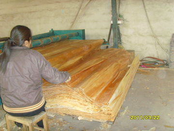 Καπλαμάς ξύλου σημύδων επίπλων