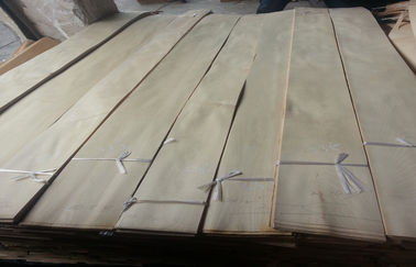 Βαθμός AA που λευκαίνεται/άσπρη περικοπή καπλαμάδων ξύλου σημύδων περιστροφική κατασκευαστική