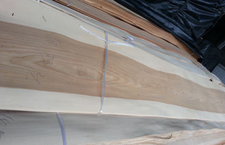 Φυσικός τεμαχισμένος πάχος καπλαμάς 0.50mm, ξύλινος καπλαμάς σφενδάμνου για την πόρτα