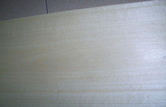 τεμαχισμένος πάχος καπλαμάς 0.5mm, φυσικός άσπρος καπλαμάς σημύδων για τα έπιπλα
