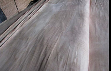 Φυσικός περιστροφικός τέμνων ξύλινος καπλαμάς σημύδων περικοπών ένας βαθμός για τα έπιπλα