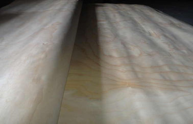 Κίτρινο άσπρο περιστροφικό κοντραπλακέ φύλλων καπλαμάδων σκληρού ξύλου πεύκων περικοπών με το βαθμό Αντιαεροπορικού Πυροβολικού