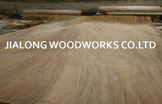 Gurjan ξύλινο περιστροφικό φύλλο καπλαμάδων προσώπου περικοπών φυσικό για το κοντραπλακέ