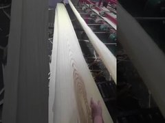 Αμερικανικός άσπρος καπλαμάς τέφρας