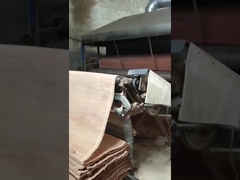 Φύλλο καπλαμά περιστροφικής κοπής PLB από φυσικό ξύλο