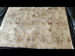 Φόνερ από ελαφρύ πεπλώριο, βαθμός Α