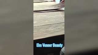 Καπλαμά κομμένο Elm Crown