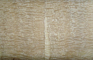 Τεμαχισμένος ξύλινος καπλαμάς Burl περικοπών φυσικός, ξύλινος καπλαμάς τέφρας για τη διακόσμηση