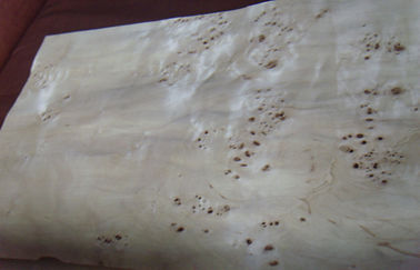 Επίπεδη ξύλινη τεμαχισμένη καπλαμάς περικοπή Burled, κατασκευαστικός καπλαμάς Burl τέφρας