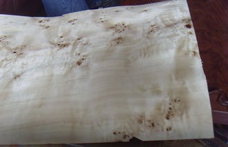 Λευκών φυσικά τεμαχισμένα Burl φύλλα καπλαμάδων περικοπών ξύλινα, καπλαμάς Burl λευκών