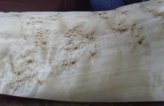 Επίπεδη ξύλινη τεμαχισμένη καπλαμάς περικοπή Burled, κατασκευαστικός καπλαμάς Burl τέφρας