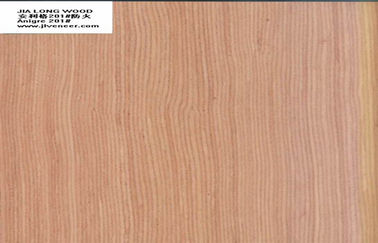 Οι πόρτες Anegre κατασκεύασαν την ξύλινη επένδυση με το υλικό Basswood