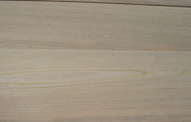 Η καφετιά κορώνα λευκών έκοψε τον καπλαμά, 0.3 χιλ. - φυσικός ξύλινος καπλαμάς 0.6 χιλ.