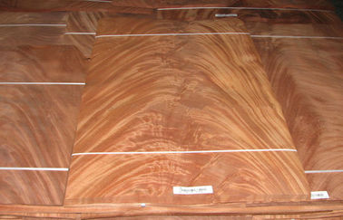 Κόκκινο δίκρανο Mohagany καπλαμάδων περικοπών κορωνών Dard, φυσικός ξύλινος καπλαμάς