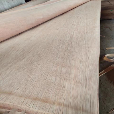 Φυσικό ξύλινο περιστροφικό φύλλο καπλαμάδων περικοπών PLB με 0.150.3mm για το κοντραπλακέ