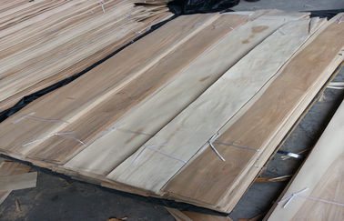 Ο κατασκευαστικός φυσικός λεπτός καπλαμάς ξύλου σημύδων κατασκεύασε Prefinished