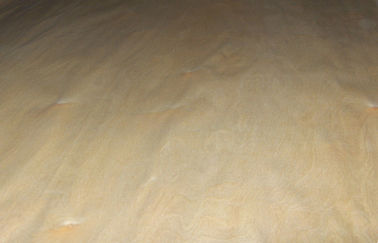Άσπρος/καφετής ξύλινος καπλαμάς περικοπών σημύδων περιστροφικός, γεμισμένος καπλαμάς σφενδάμνου