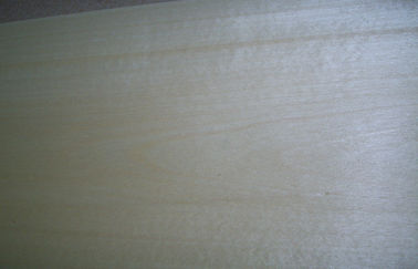 Αρίστης ποιότητας καπλαμάς ξύλου σημύδων που γυαλίζει τη μονόπλευρη διακόσμηση με την περιστροφική περικοπή