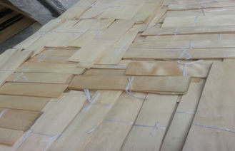 φυσικός τεμαχισμένος ξύλινος καπλαμάς σφενδάμνου της Κίνας περικοπών για τα έπιπλα