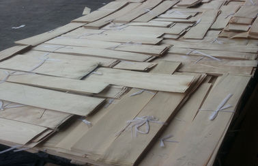φυσικός τεμαχισμένος ξύλινος καπλαμάς σφενδάμνου της Κίνας περικοπών για τα έπιπλα