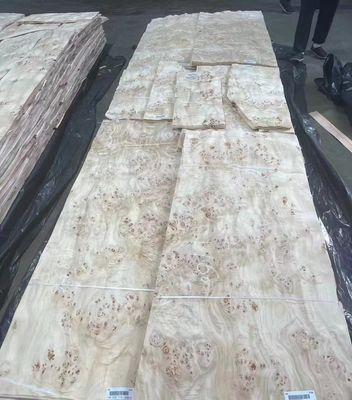 Φυσικά τεμαχισμένα φύλλα ελαστικού από ελαστικό βούρτσας για διακόσμηση επίπλων