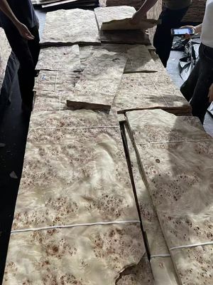 Υψηλής ποιότητας φύλλο ελαστικού Mappa Burl για διακόσμηση επίπλων