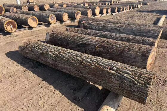 Φελλιά από βελονίκι με μοτίβο στεφάνου σε πάχος 0,2-0,6 mm και πλάτος έως 1220 mm για έπιπλα και διακόσμηση