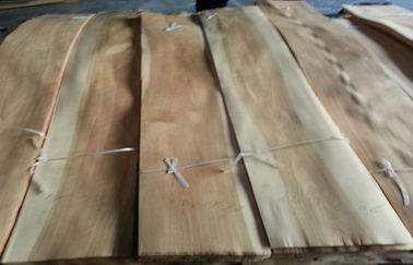 Τεμαχισμένη χαρτόνι φυσική σημύδα δύο περικοπών ξύλινος καπλαμάς χρώματος που κατασκευάζεται