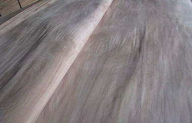 Φυσικός περιστροφικός τέμνων ξύλινος καπλαμάς σημύδων περικοπών ένας βαθμός για τα έπιπλα