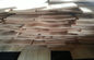 Τεμαχισμένο κοντραπλακέ φύλλο καπλαμάδων ξύλου οξιών περικοπών φυσικό ευρωπαϊκό βρασμένο στον ατμό