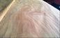 Φυσικό περιστροφικό φύλλο καπλαμάδων Okoume περικοπών/ξύλινος καπλαμάς σιταριού με το βαθμό αβ